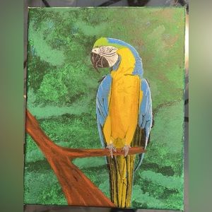HAND PAINTED PARROT ART